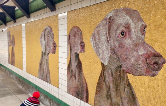 Good news, F Train riders: 23rd Street Station reopens, and it's nifty To humanize a station, add canines.